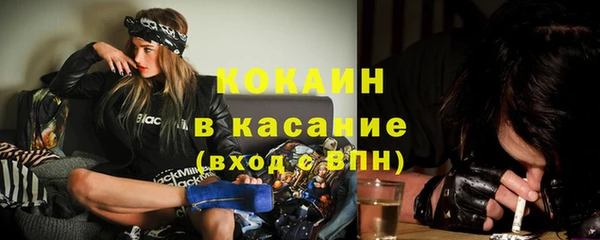 сатива Бронницы