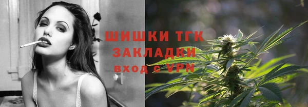 спиды Богородск
