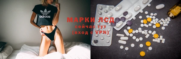 сатива Бронницы