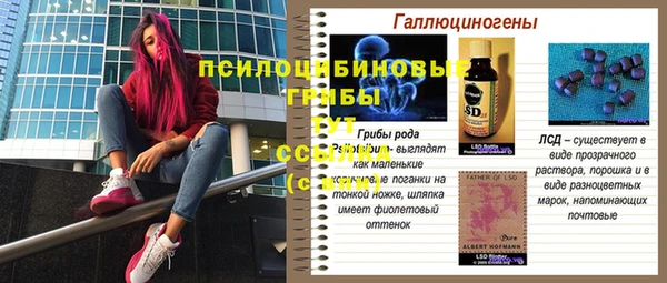 ПСИЛОЦИБИНОВЫЕ ГРИБЫ Анжеро-Судженск