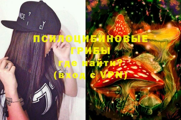 сатива Бронницы