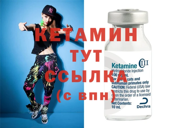 сатива Бронницы