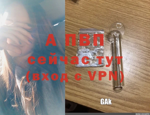 спиды Богородск