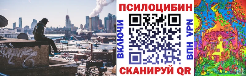 цена наркотик  Бутурлиновка  Галлюциногенные грибы Psilocybe 